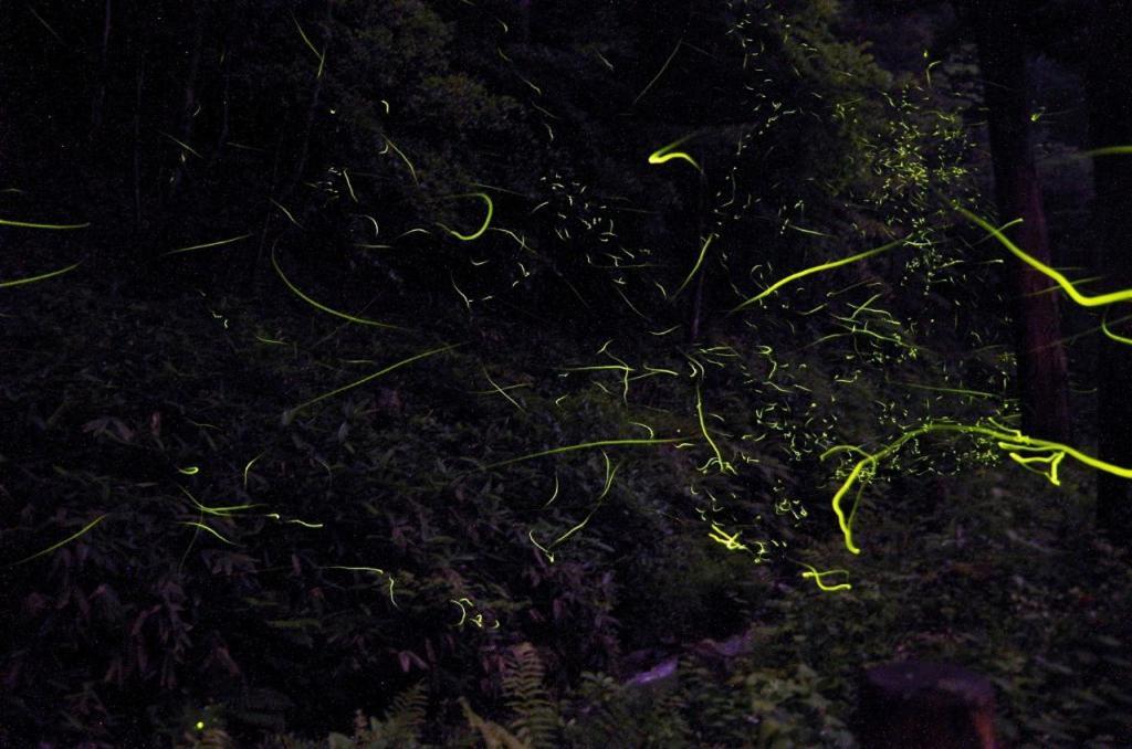 Hamamura Onsen Totoya Tottori Exteriér fotografie